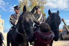 Natale in sicurezza: i Carabinieri intensificano i controlli nella Bat