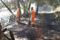 Ancora incendi nelle campagne di Andria: a fuoco sterpaglia  sottobosco in contrada Borgo Torricciola