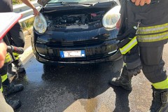Principio d'incendio al vano motore: intervento Vigili del fuoco e Polizia Locale sulla provinciale Andria Canosa di Puglia