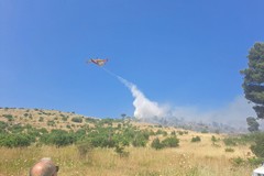 Incendi: Coldiretti Puglia, dolosi 6 roghi su 10; sale la conta dei danni
