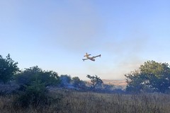 Vasto incendio sulla Murgia: 200 ettari percorsi dalle fiamme tra Minervino ed Andria