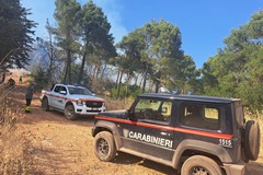 Vasto incendio sulla Murgia tra Minervino Murge ed Andria: decine di ettari di pineta e seminativo in fumo