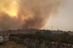 Incendi in Puglia: 15 anni per ricostruire i boschi distrutti. Il 60% dei roghi è volontario
