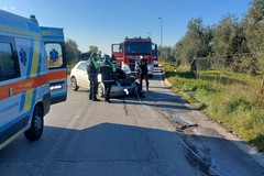 Nuovo incidente stradale sulla provinciale Andria Bisceglie: tre i feriti