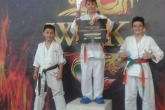 Karate: pioggia di medaglie per i ragazzi della Wellness
