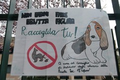 Deiezioni canine in via Stradella, l'I.C. "Verdi-Cafaro" di Andria: «Basta ai campi minati!»