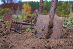 Sicurezza sul lavoro: In aumento gli infortuni nelle campagne
