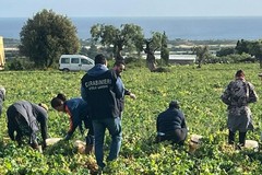 Verifiche ed ispezioni del Nucleo Ispettorato del Lavoro (NIL) dei Carabinieri nella Bat