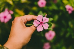“Dietro le porte chiuse”: l’iniziativa del Circolo della Sanità di Andria sulla violenza di genere