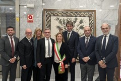 A Madrid presentato Qoco 2024, l'abbraccio agli olivicoltori di Andria