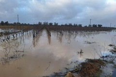 Maltempo: 12mila imprese agricole esposte al dissesto idrogeologico