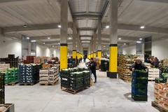 Mercato ortofrutticolo di Andria: «il centrodestra è contrario alla riduzione delle tariffe»