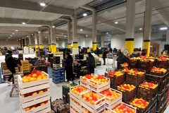 L'ortofrutta traina l'export: si conferma uno dei pilastri dell'agroalimentare Made in Italy