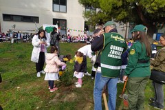 Giornata dell’albero: Fareambiente di Andria lo celebra alle Scuola dell’infanzia Don Tonino Bello - Saccotelli e Lotti