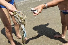 Montepulciano: "Anche le nostre spiagge invase dalla plastica"