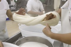 Andria celebra un mestiere tra i più antichi e rinomati: Un monumento al Casaro