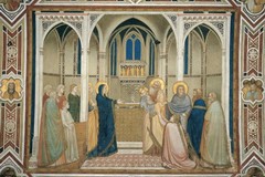 Ad Andria l'apertura "Dell'anno di Francesco" nell' VIII centenario della morte