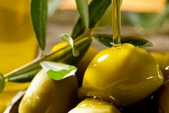 Paradossi della nostra agricoltura: bene le esportazioni di olio d'oliva ma aziende al collasso per elevati costi di produzione