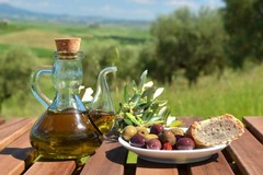 Dalla Puglia i migliori frantoi d’Italia: Andria si conferma al top anche per l'estrazione dell'oro verde