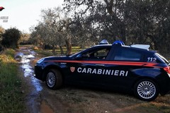 Incidente sulla provinciale 231 direzione Corato e rinvenimento di auto rubate nelle ultime 24 ore da parte dei Carabinieri