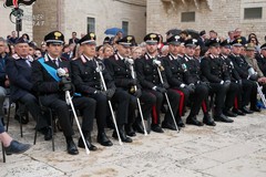 Arma dei Carabinieri: le ricompense assegnate al personale in servizio nella Bat