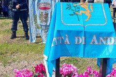 Giornata degli Alberi: Ad Andria la maglia nera regionale, fanalino di coda con soli 15mila alberi