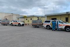 Servizio civile: 290 posti a disposizione delle Misericordie di Puglia, per tre progetti disponibili