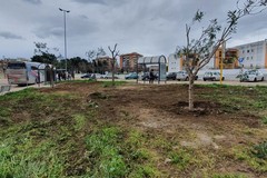 Andria ammessa a finanziamento. Assegnati dieci mila euro per il verde pubblico
