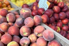 Sale la temperatura e cresce il consumo di frutta in Puglia