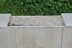 Danneggiato il muretto in pietra durante la raccolta dei pini malati della Villa comunale