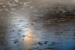 Siccità: Coldiretti Puglia, arrivo pioggia salva campagne; SOS con -123mln mc acqua