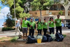 Domenica 13 novembre 3place torna in azione: manutenzione e pulizia per il bosco urbano di via Ceruti