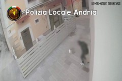 La Polizia Locale individua e sanziona l'autore di atti contrari alla pubblica decenza