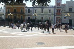 In Puglia 20mila cavalli: +24% in 5 anni tra sport, turismo e pet therapy