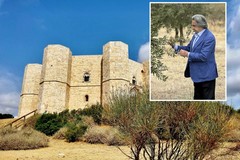 Cultura e bellezza: ai piedi di Castel del Monte nasce l’olio della Tenuta Riccardo Muti