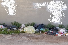 Contrasto ai reati ambientali ad Andria, il bilancio dell'assessore Colasuonno