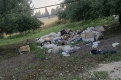 Ecomafie, ad Andria rifiuti negli oliveti: "danno incalcolabile"