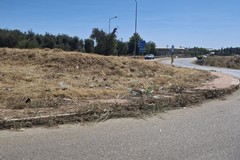 Rotatorie Andria Trani: libere dall'erba infestante ma ricolme di rifiuti di ogni tipo
