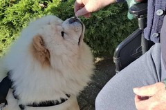 “Merenda a 4 zampe in RSA”: una giornata di affetto, comunità e sorrisi nel segno di San Francesco d’Assisi