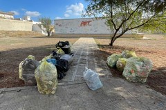 Associazione 3Place: 15 sacchi di rifiuti raccolti dai cittadini nell'area verde di Via Dante Di Nanni