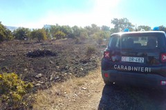 Controlli ad Andria sulle aree percorse dal fuoco da parte dei Carabinieri Forestali