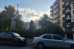 Via Padre Savarese: "Per favore toglieteci quella palma ormai seccata"