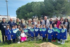 Il Lions Club Andria dona piante di ulivo all’ Istituto Comprensivo “Jannuzzi – Mons. Di Donna”