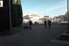"Scuole Sicure": firmato in Prefettura protocollo per far giungere ad Andria oltre 43mila euro