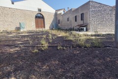 Vasto incendio in contrada San Vittore: le fiamme distruggono l'uliveto del progetto "Senza Sbarre"