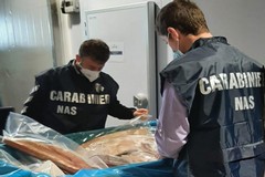 Agnelli e maiali sequestrati ad Andria dai Carabinieri del NAS