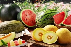 Puglia: preoccupa l'andamento dei prezzi di frutta e verdura