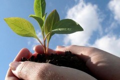 Seminario sul Programma di Sviluppo Rurale 2014/2020