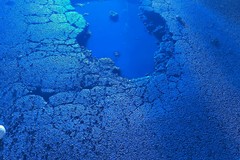 Tangenziale di Andria dissestata, Napolitano: "Responsabilità dell'amministrazione Bruno"