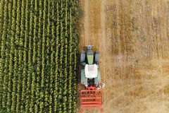 Muore in campagna a Andria, inutili i soccorsi per un operaio agricolo